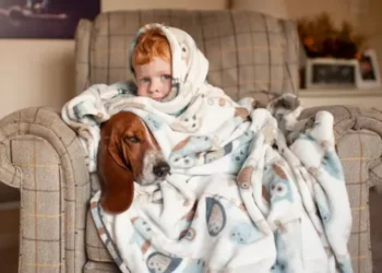 Оптимальна температура в домі: яка вона має бути