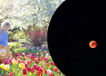 Після місячного затемнення: у трьох знаків зодіаку почнеться біла смуга у житті