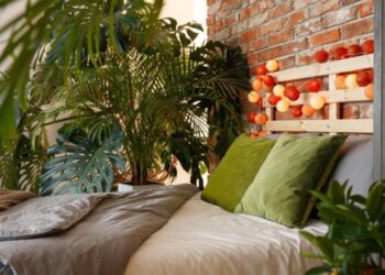 Топ-3 кімнатних рослин, які можуть покращити ваш сон