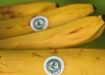 “Зеленая лягушка” на кофе и бананах: можно ли есть продукты с такой наклейкой?