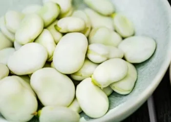 Як виростити боби з насіння: покрокова інструкція