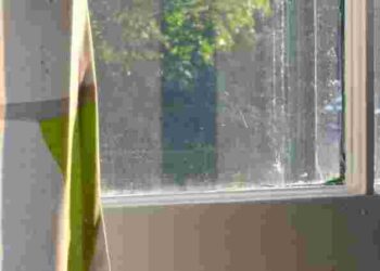 Підготовка до Великодня: лайфхаки, які допоможуть вимити вікна швидко та без розводів