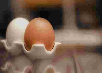 Міф чи правда: чи дійсно яйця потрібно мити перед вживанням