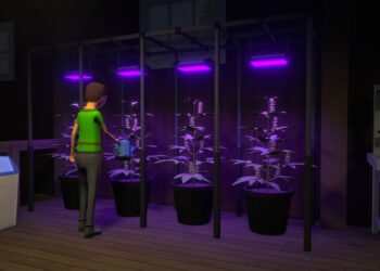 На інді-хіт Schedule 1, який за короткий час залучив більше ніж 400 тисяч гравців, подали до суду через схожість з Drug Dealer Simulator