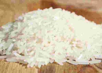 Як зберігати рис, щоб у ньому не завелися жучки: 5 простих порад