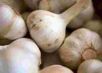 Щоб не проростав і не вʼянув: як треба зберігати часник