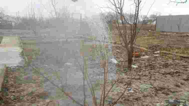 Втричі ефективніше добриво для саду: як правильно розводити сечовину із залізним купоросом