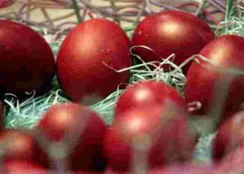 Від рожевого до бордового: як надати яйцям насичений відтінок за допомогою каркаде