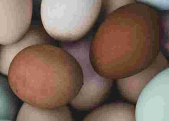 Знадобиться лише кава: простий спосіб зробити крашанки коричневими