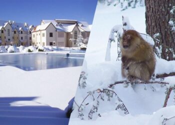 Багато снігу та мінусова температура: названо найхолодніше місто Африки, яке вражає туристів