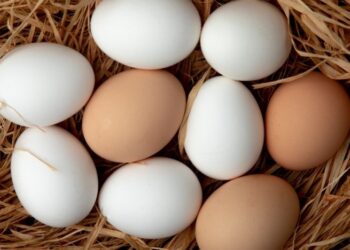 Белые или коричневые: только один вид яиц подходит для пасхального окрашивания