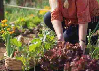 Перший тиждень після Великодня: чи можна працювати на городі і коли саме