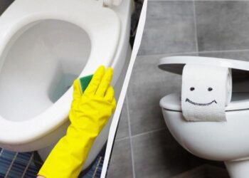 Чистити унітаз тепер легко: чим прибрати вапняний наліт