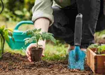 Страсний тиждень: коли можна працювати на городі для гарного врожаю