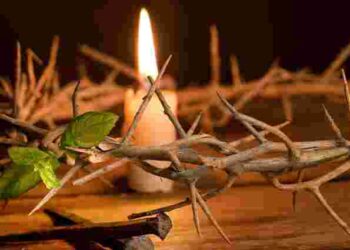 Що кажуть прикмети: чи варто садити рослини під час Страсного тижня