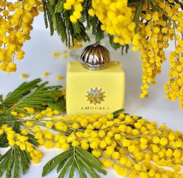 Як пахнути дорого: топ-7 найкращих ароматів з дорогим шлейфом