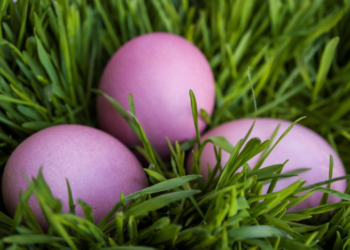 Как получить нежно-сиреневый цвет пасхальных яиц: понадобятся два натуральных ингредиента, которые и так есть на вашей кухне