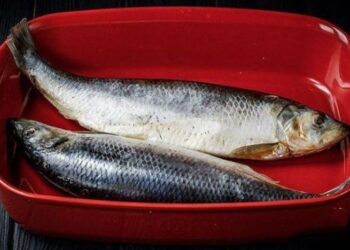 Как за 2 минуты разобрать селедку на идеальные филешки: правильная последовательность, чтобы не осталось ни одной косточки (ВИДЕО)