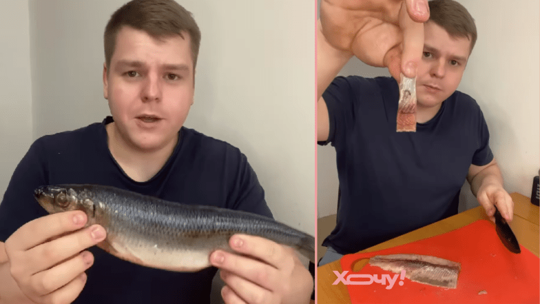 Как за 2 минуты разобрать селедку на идеальные филешки: правильная последовательность, чтобы не осталось ни одной косточки (ВИДЕО)