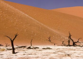 Наче інша планета: у величезній африканській країні квітнева температура сягає 25 градусів