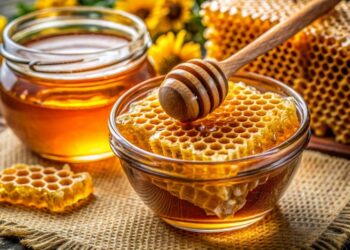 Натуральний чи підробка: як перевірити якість меду в домашніх умовах
