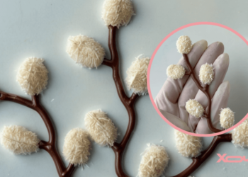 Нежный весенний декор для пасок своими руками: как сделать шоколадные ивовые котики за пять минут (ВИДЕО)