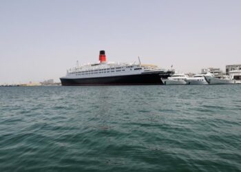 Новий штам небезпечного вірусу став причиною спалахів захворювань на круїзних лайнерах