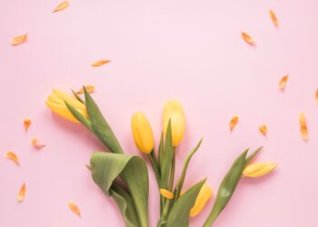 Розквітнуть по-новому: 2 знаки зодіаку, які до кінця весни кардинально зміняться