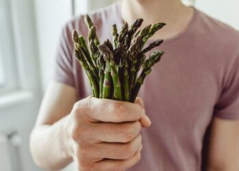 Сезон спаржи: что это за зверь, какая бывает и как ее готовить, чтобы не испортить дорогой продукт (ФОТО, ВИДЕО)