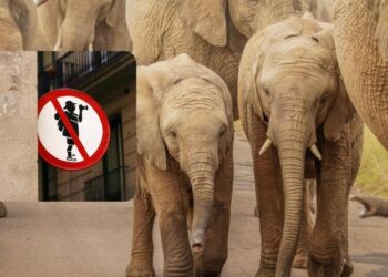 Туристи розповіли про розваги, про які шкодуватимуть до самої смерті