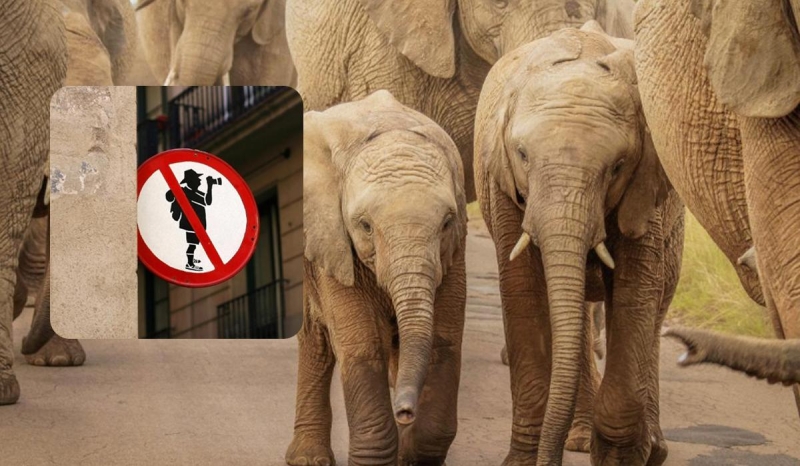 Туристи розповіли про розваги, про які шкодуватимуть до самої смерті