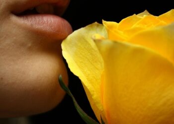 Від соковитого огірка до медових масок: натуральні засоби для губ, щоб вони були ніжними та доглянутими