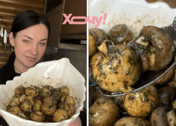 Забудьте о магазинных! Блогерша показала, как за 5 минут приготовить дома пикантные маринованные шампиньоны (РЕЦЕПТ с ВИДЕО)
