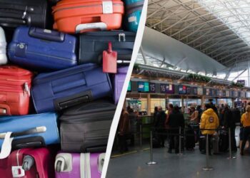 Засохлі голови та жива гримуча змія: які найдивніші предмети, знайдені в залишеному багажі у США (фото)