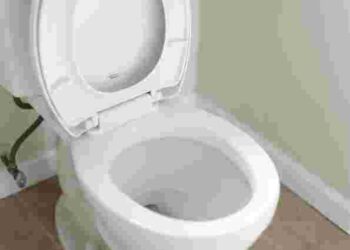 Чи можна викидати кавову гущу в унітаз і за яких умов: цікавий лайфхак