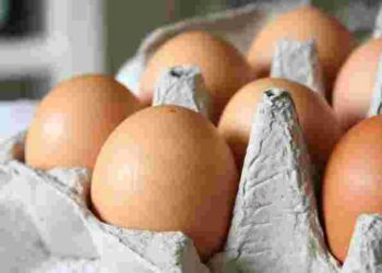 Не псуватимуться місяцями: як зберігати яйця, щоб вони були свіжими якомога довше