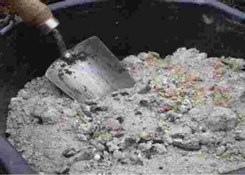 Як правильно підживлювати картоплю попелом та навіщо це робити