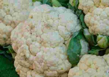 Вийде ідеальною: скільки часу потрібно варити цвітну капусту