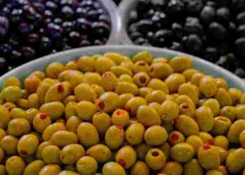 У чому різниця між оливками та маслинами: справа не тільки в кольорі