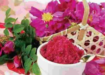 Рожа: чим і кому вона корисна