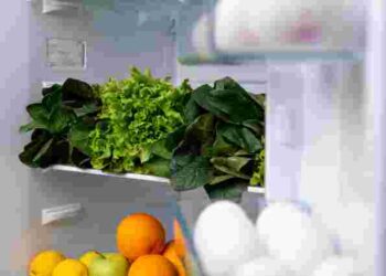 Розморожування холодильника: навіщо це робити та як не зіпсувати техніку