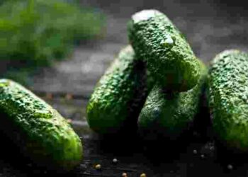 Чому огірки швидко в’януть і як цьому запобігти: корисні поради