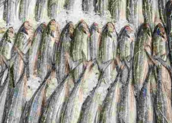 Як правильно розморозити рибу: два безпечні способи