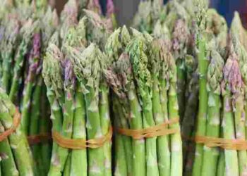 Спаржа: чим багата і кому корисна