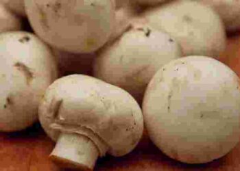 Чи потрібно чистити печериці перед приготуванням: відповідь може вас здивувати