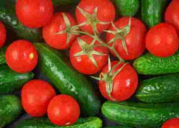 Не садіть у таку погоду: як вибрати найкращий день для висадки помідорів, перцю, огірків