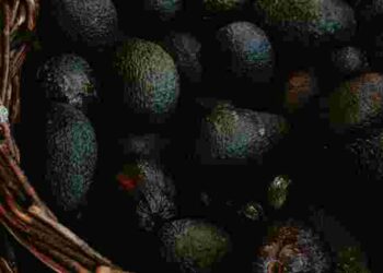 Викинути чи можна ще їсти: що робити з потемнілим авокадо