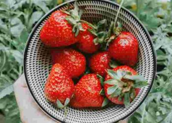 Як зберегти полуницю свіжою якнайдовше: три найкращі способи