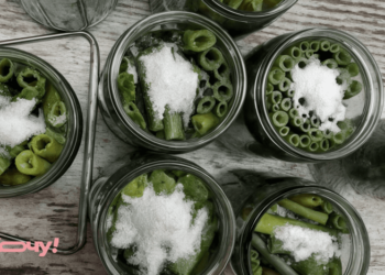 Это огородный мусор — настоящее сокровище: как закрыть на зиму стрелки лука (ВИДЕО)