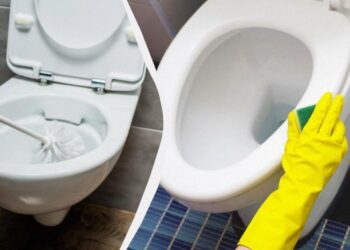 Як відмити сидіння унітазу до блиску: знадобиться простий засіб із кухні